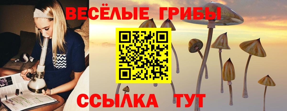 Псилоцибиновые грибы Psilocybine cubensis Кострома